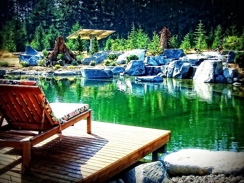 A chair sits on a dock overlooking a pond