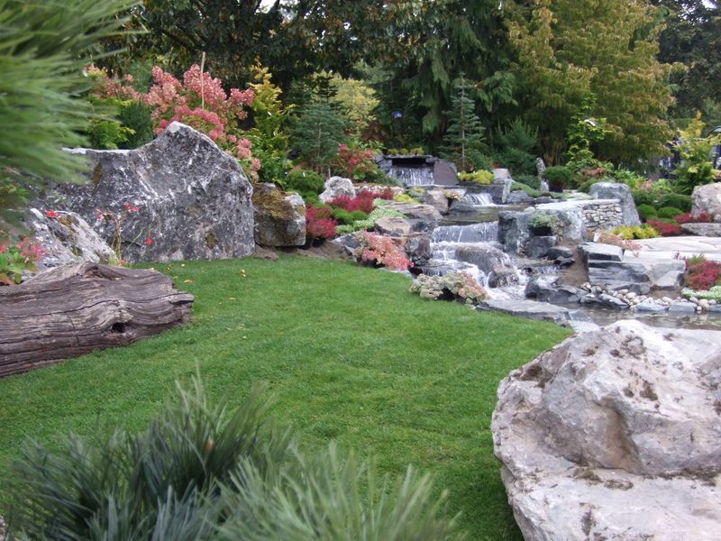 a lush green garden with a waterfall and rocks