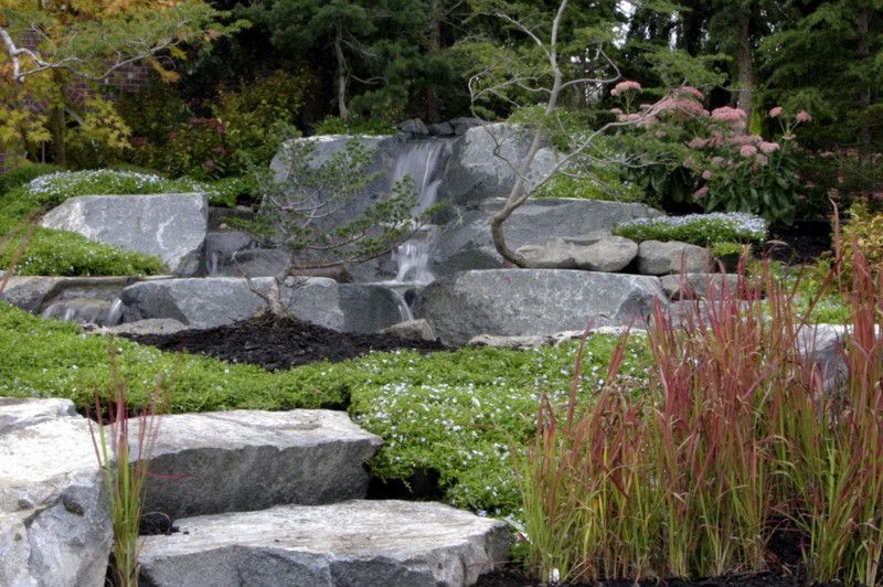 there are a lot of rocks and plants in the garden