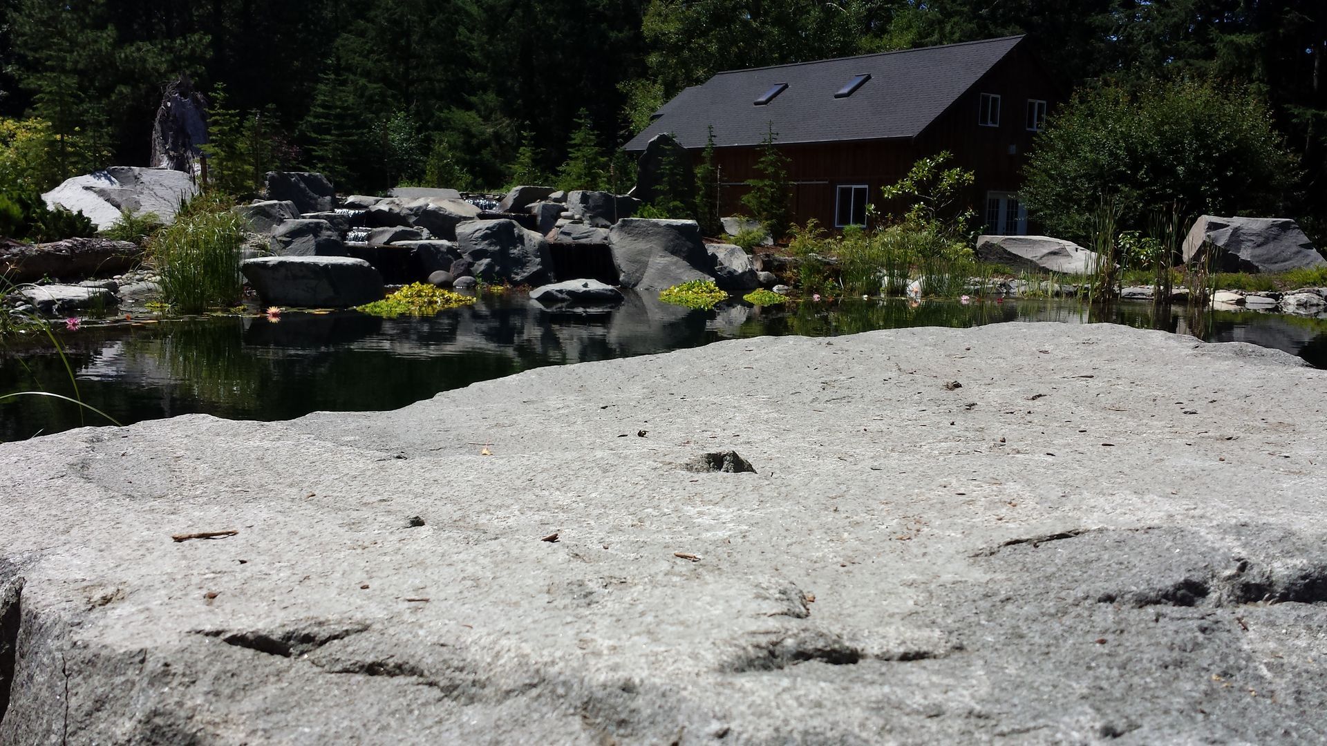 a large rock in the middle of a pond with a house in the background