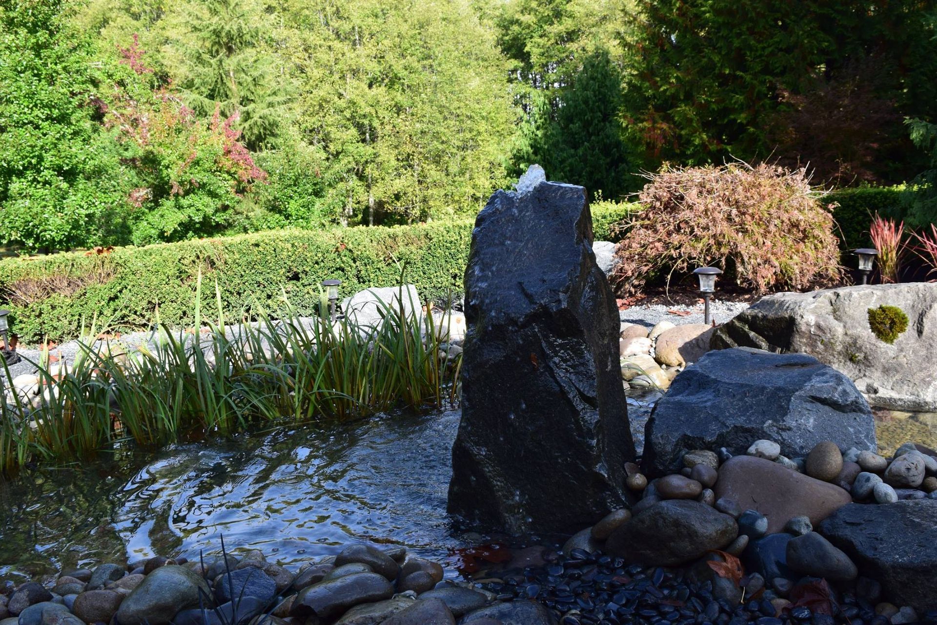 a pond with a rock in the middle