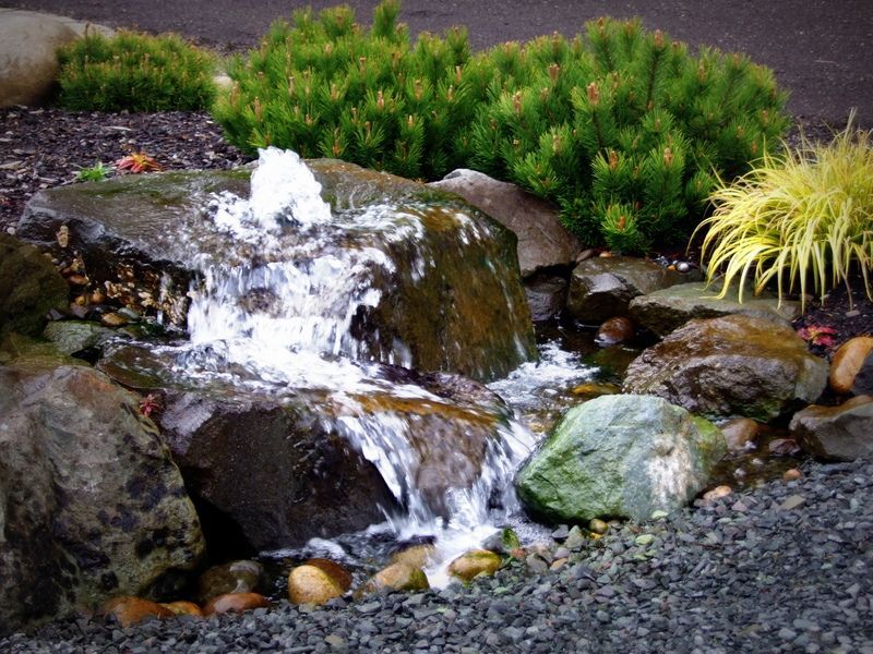 a small waterfall is surrounded by rocks and plants