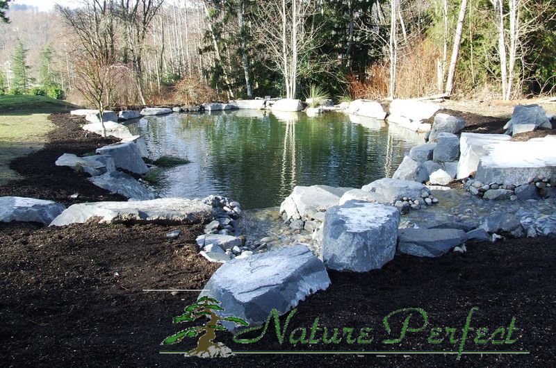 a picture of a pond with the words