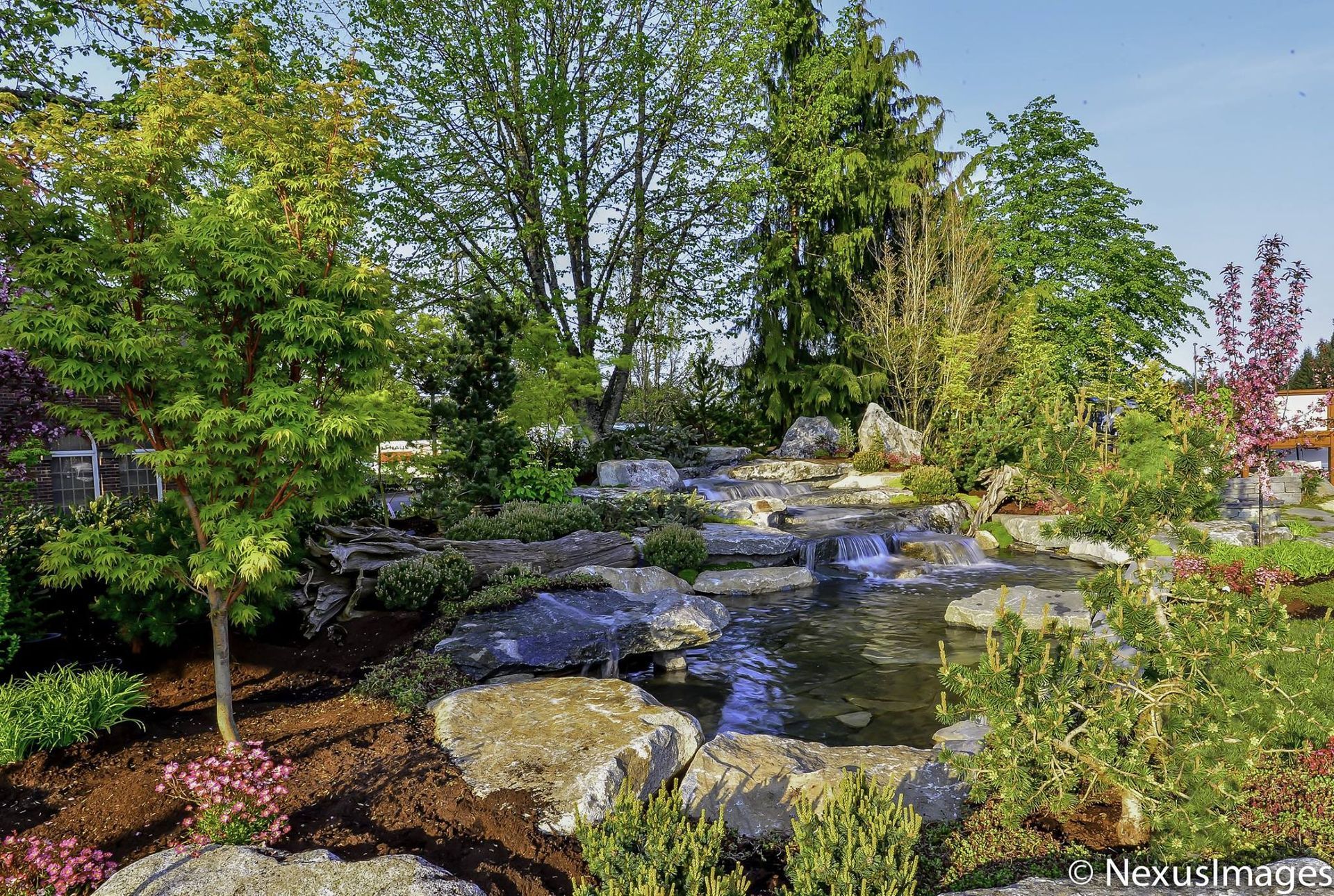there is a pond in the middle of the garden with a waterfall