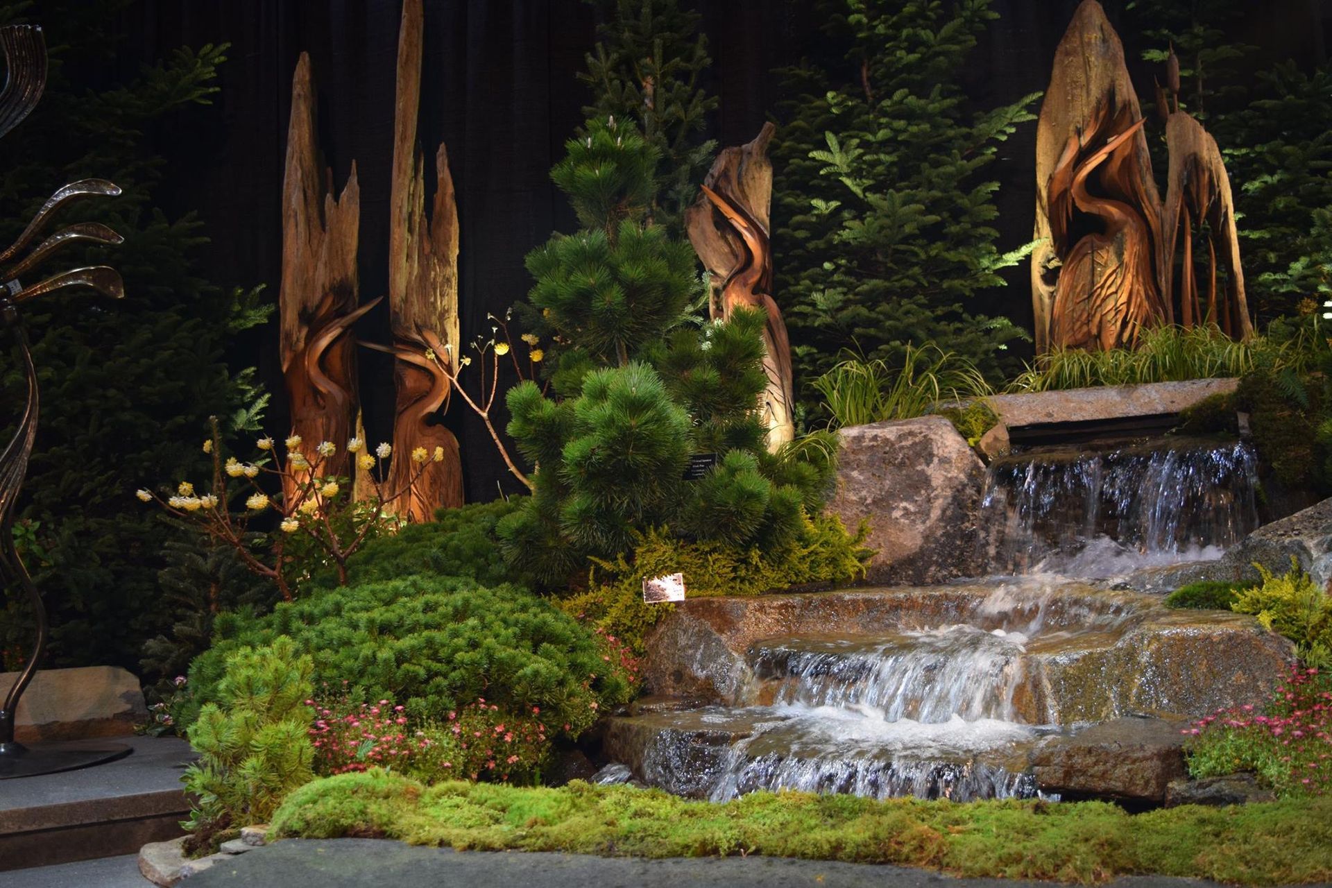 a waterfall in the middle of a forest