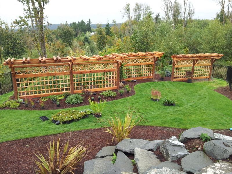 a lush green lawn with a wooden pergola in the middle