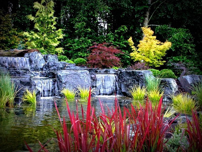 There is a waterfall in the middle of a garden surrounded by trees and plants.