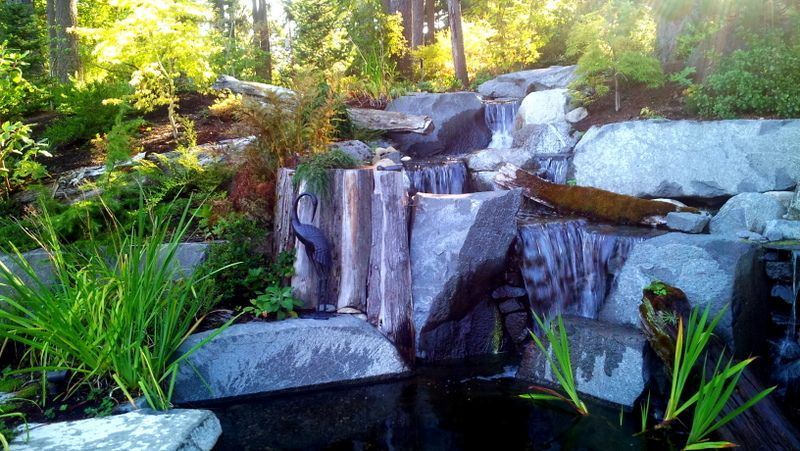 There is a waterfall in the middle of the woods surrounded by rocks and plants.