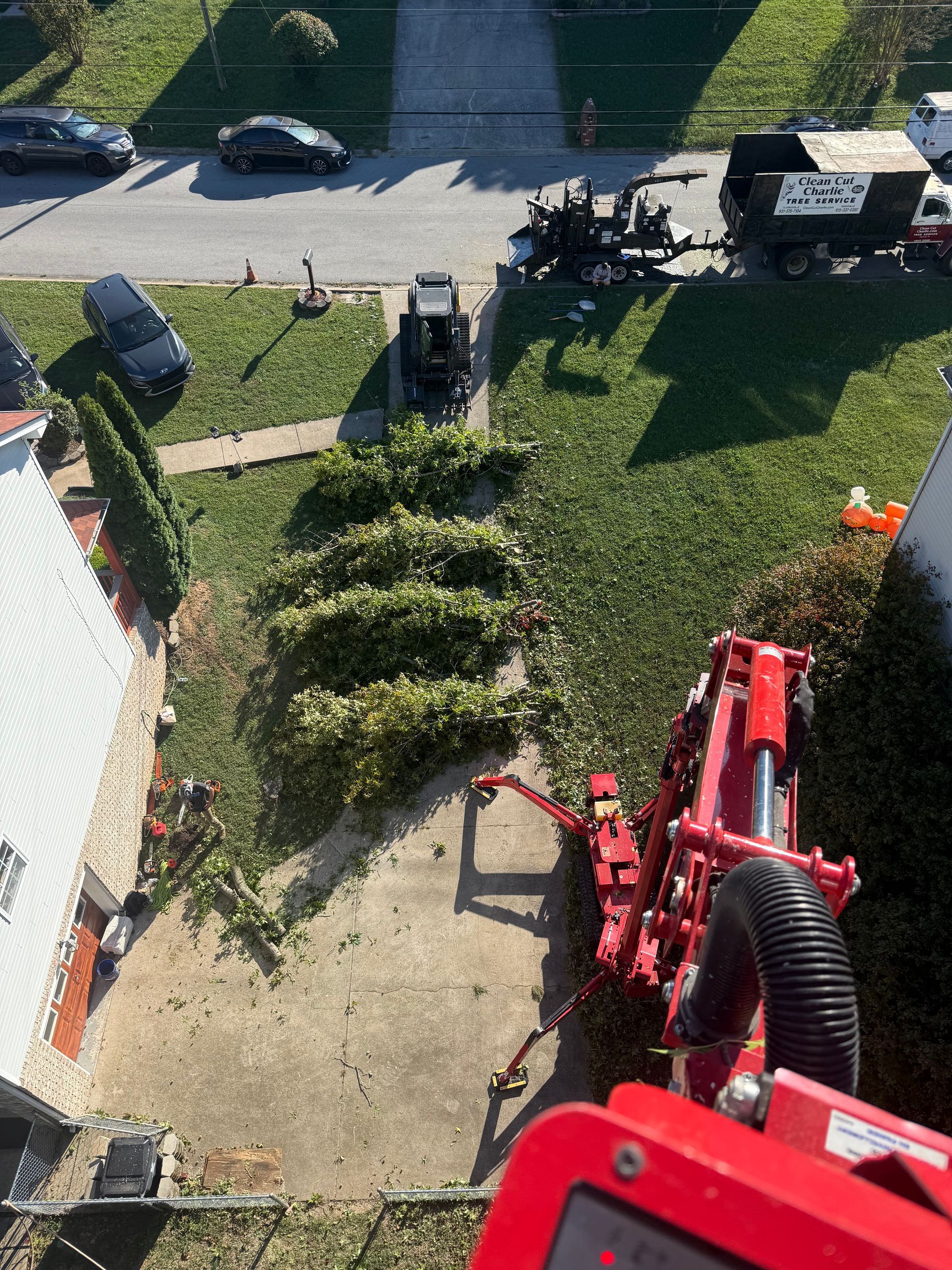 Overhead view of a red machine trimming a bush, other equipment and vehicles on street.
