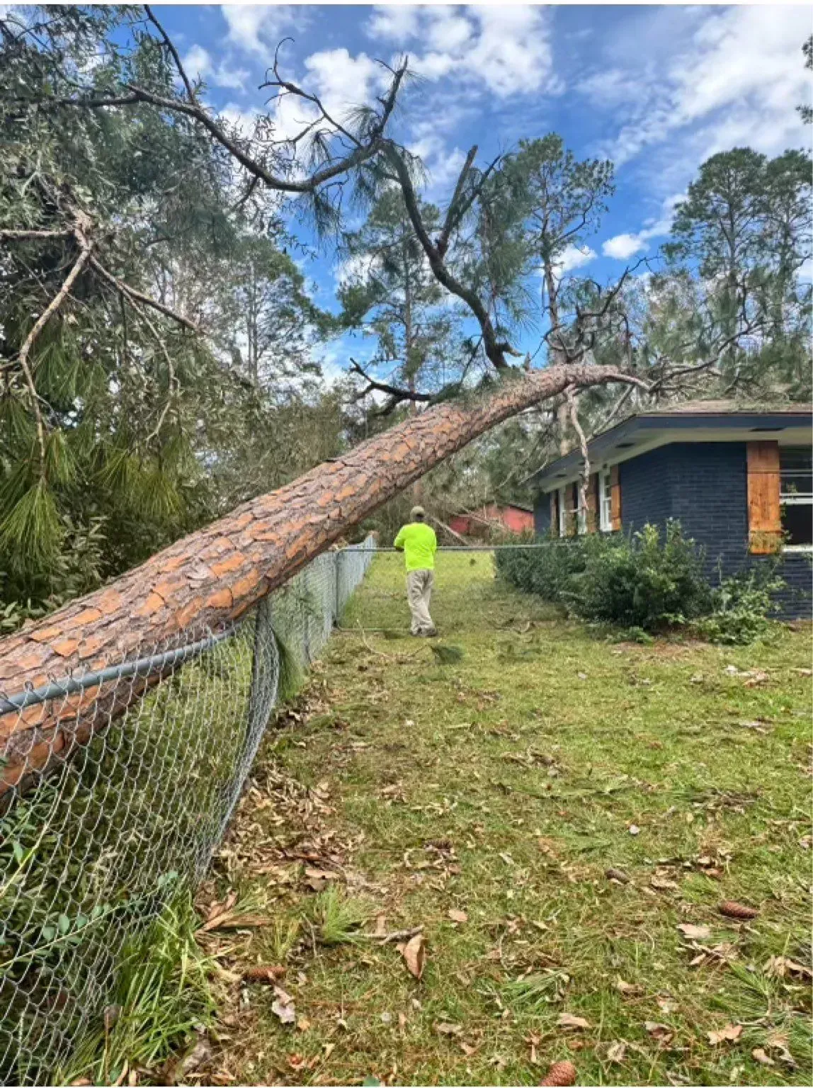 Tree fallen over a chain-link fence, partially blocking a house. A person in a neon shirt walks nearby.