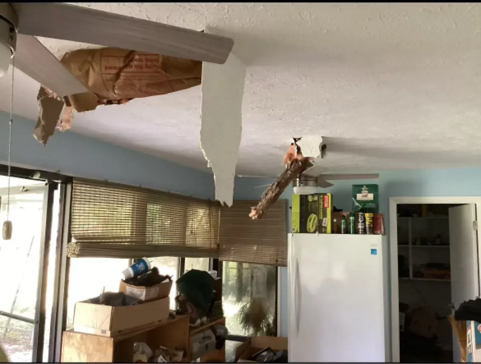 Damage to a ceiling with a ceiling fan, debris, and torn drywall in a kitchen with a refrigerator and window.
