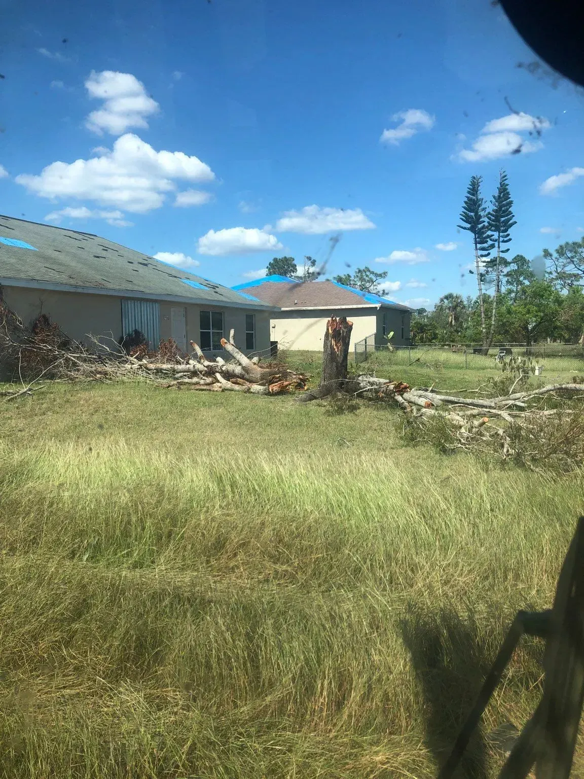 Houses with roof damage, fallen trees scattered on a grassy lawn under a blue sky with clouds.