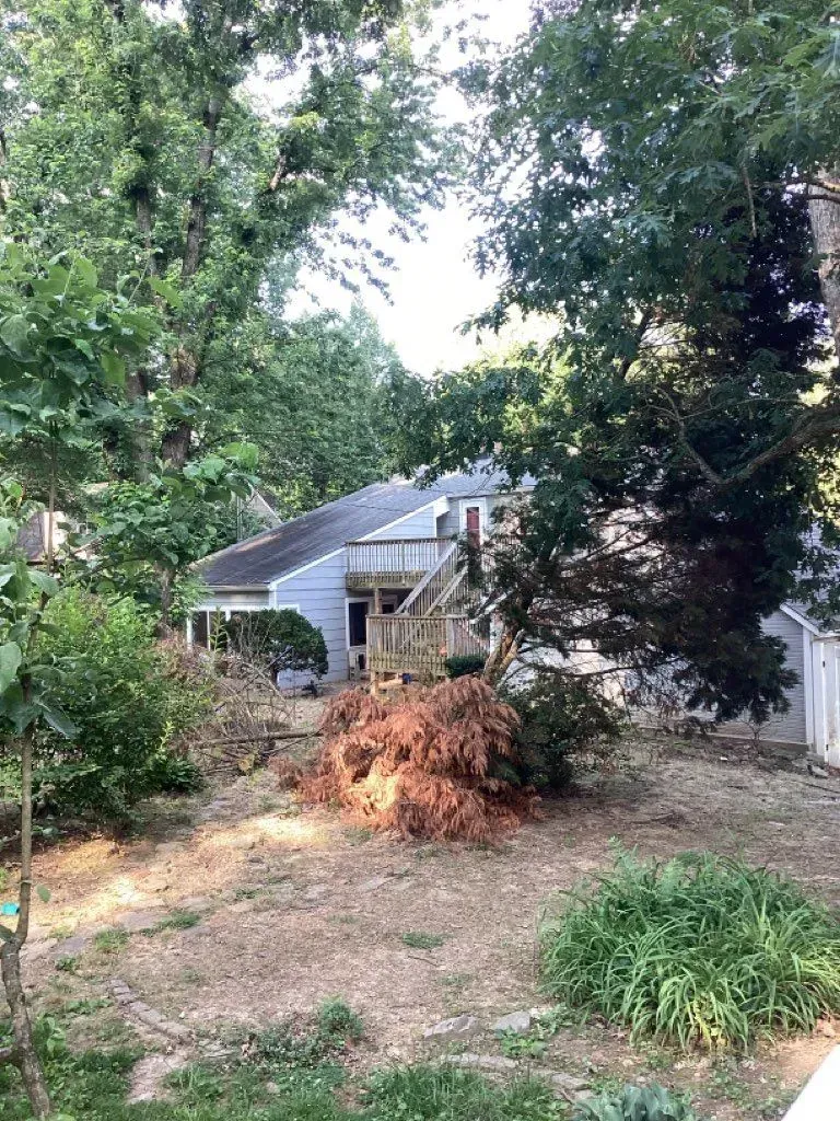 Backyard view of a house with trees, shrubbery, and a wooden deck. The yard is partially dry.