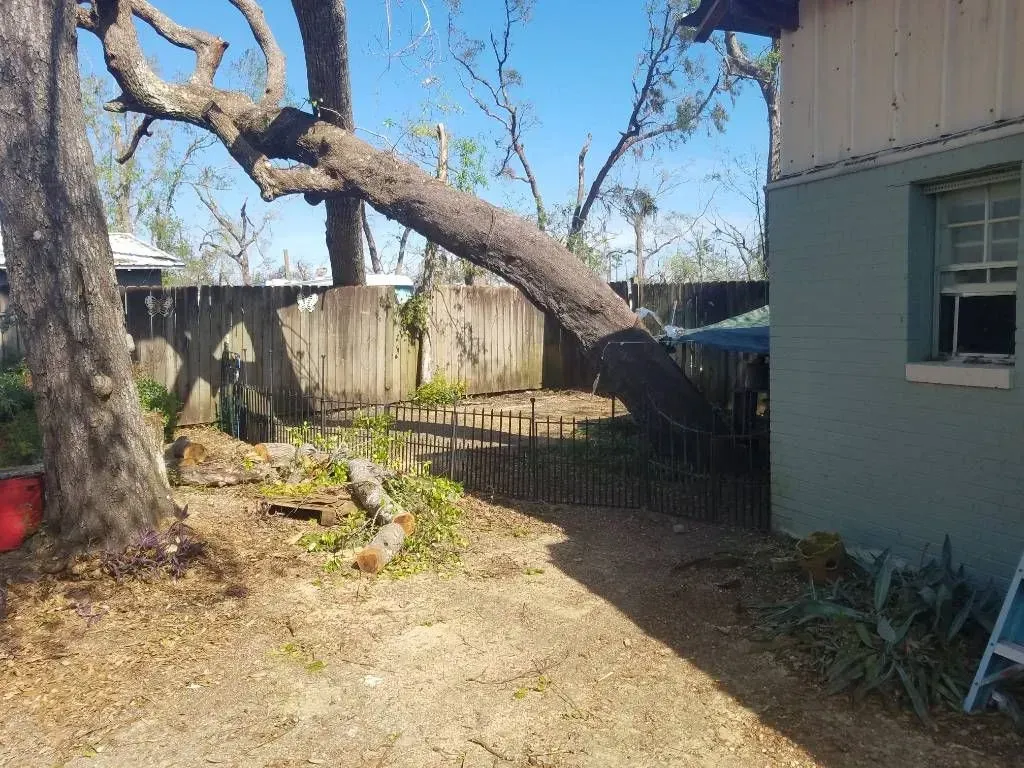 A large tree branch leaning onto a house; yard with a fence and debris.