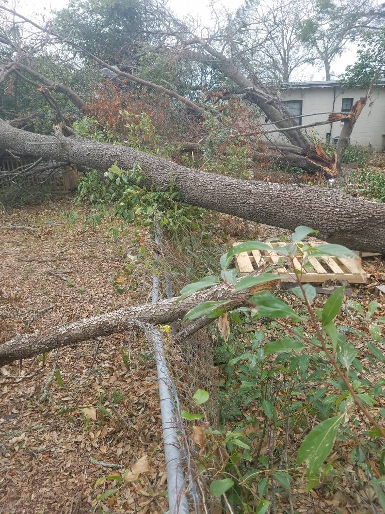 Fallen tree over a fence, debris in a yard.