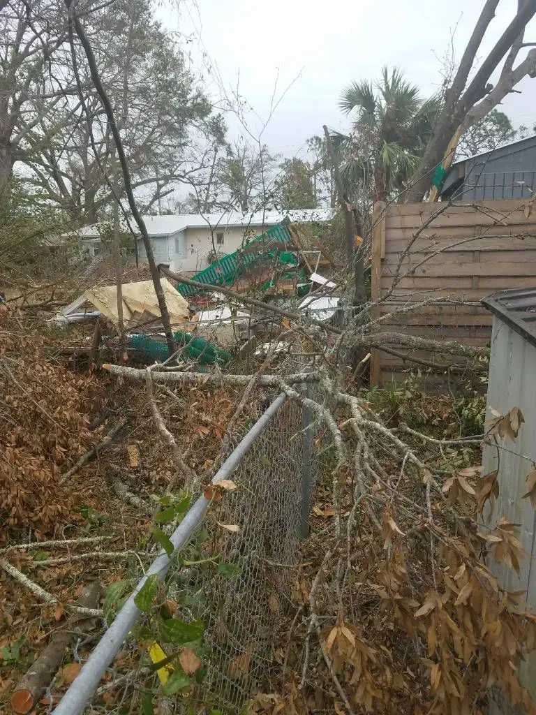 Tree damage and debris over a chain-link fence, likely after a storm.