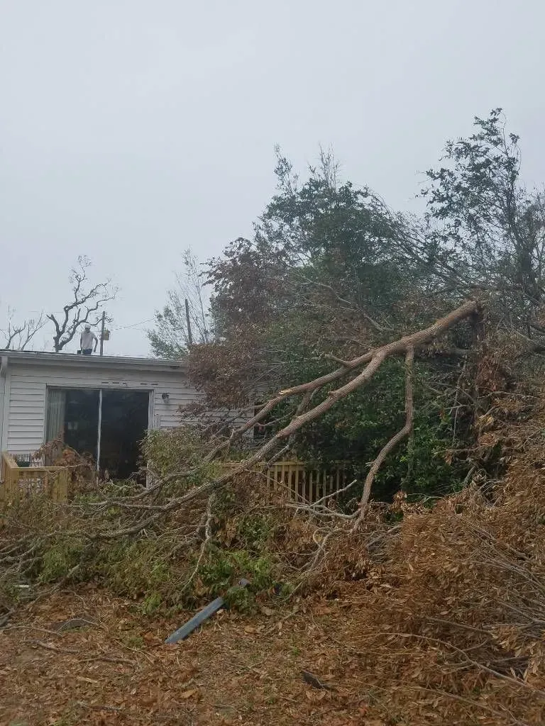 A tree has fallen onto a house with a sliding glass door. Overcast sky. Debris on the ground.