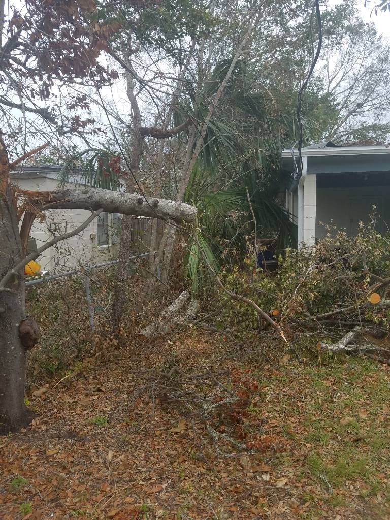 Fallen tree limb over home, debris scattered on ground. Overcast day.