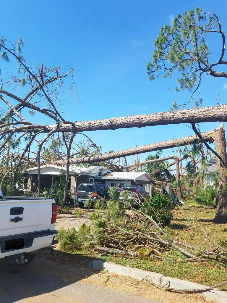 Fallen trees on a house after a storm, with a white truck parked in front.