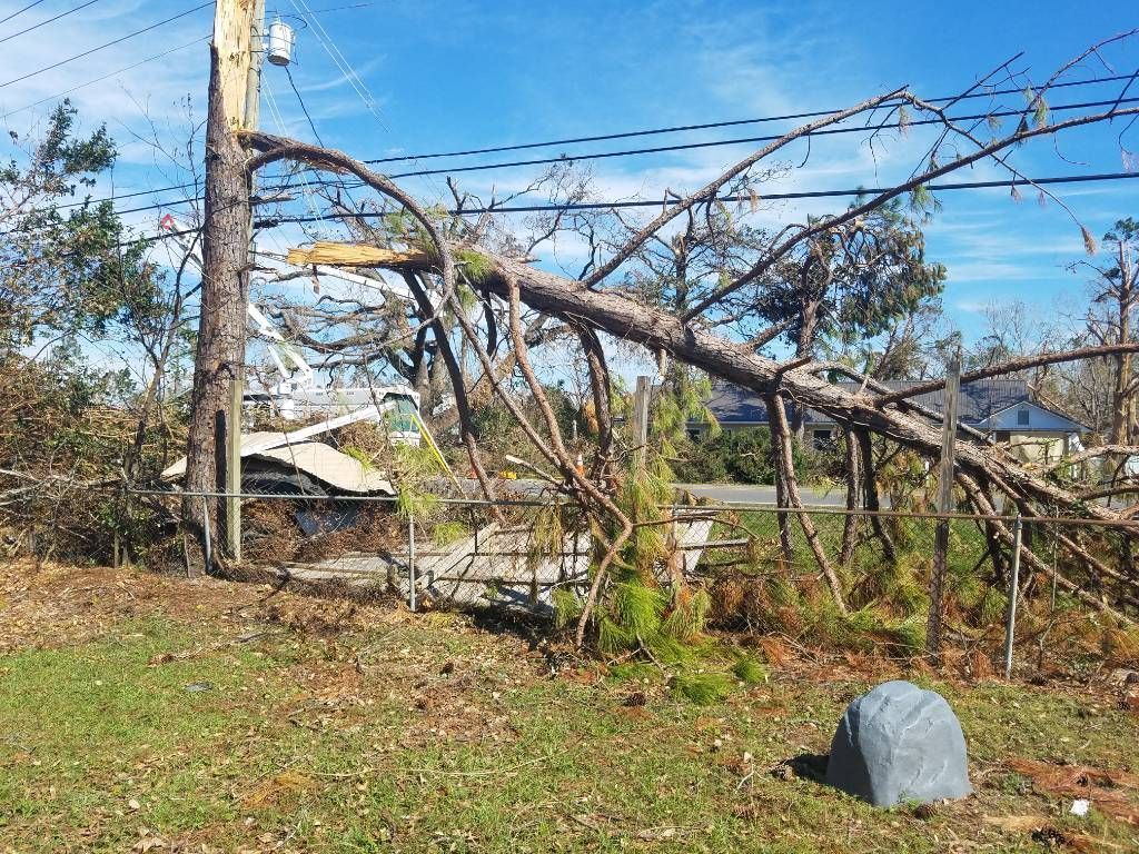Tree fallen on power lines and utility pole, causing damage.