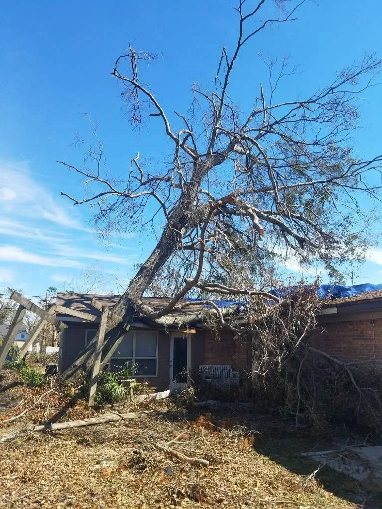 Tree fallen on a damaged house with a blue tarp roof, debris on the ground, and a clear sky.