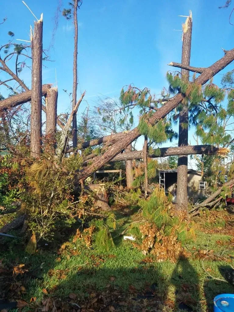 Trees broken and fallen on a structure under a clear blue sky. Debris covers the ground.