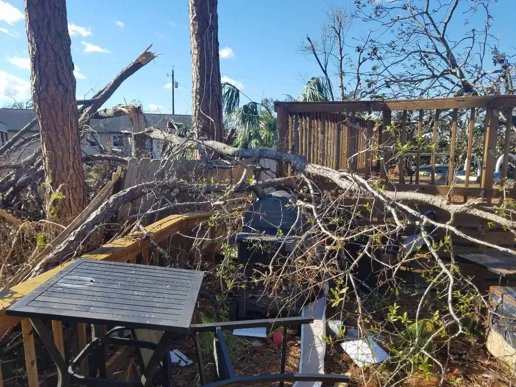 A downed tree on a deck; debris and damage from a storm, outdoors in daylight.