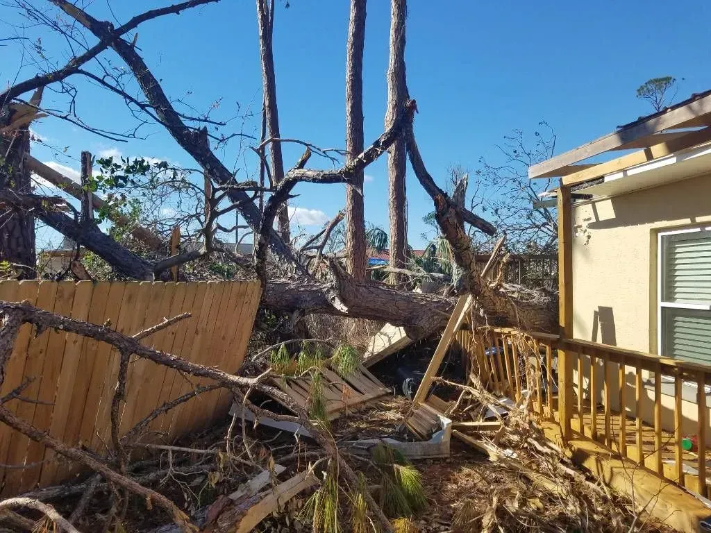 Fallen tree on a fence and deck next to a house, following a storm, with a clear blue sky.