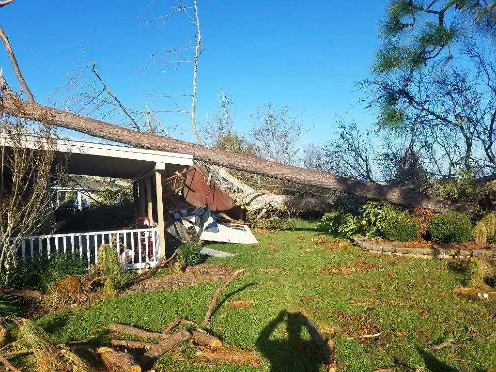 A tree has fallen on a house, damaging the roof and porch. Green grass and blue sky.
