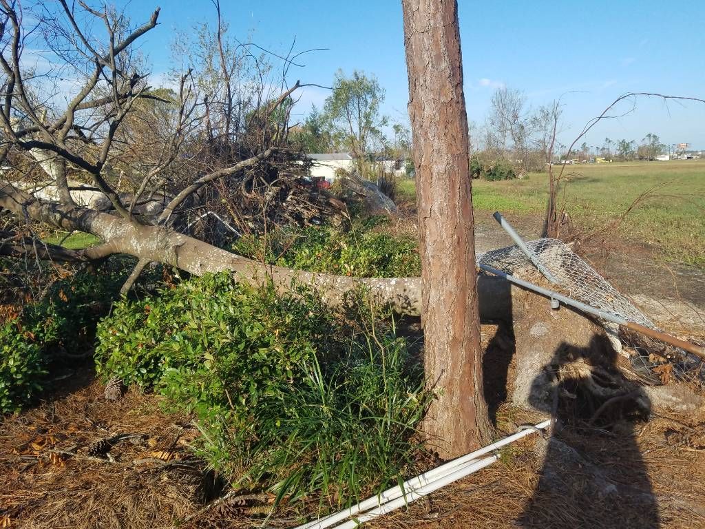 Fallen tree trunk on a concrete barrier; debris and field in the background, under a blue sky.