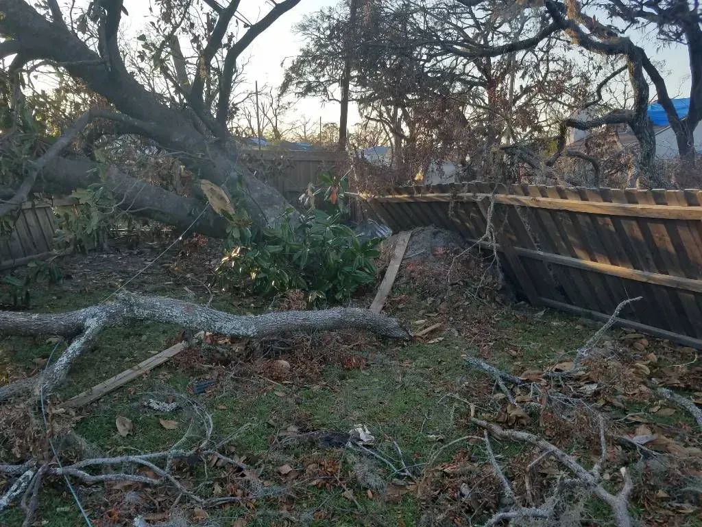 Fallen tree branches and debris on the ground, partially covering a wooden fence in an outdoor setting.