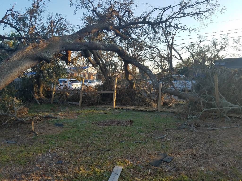 Fallen tree blocking a fence, debris on the ground. Two white vehicles visible behind the fence.