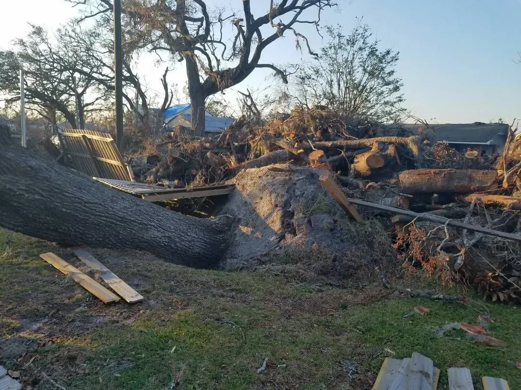Fallen tree crushing a house, debris scattered across the yard after a storm.