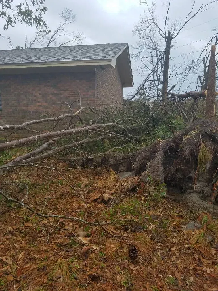 Fallen tree blocking side of brick building, debris scattered, overcast day.
