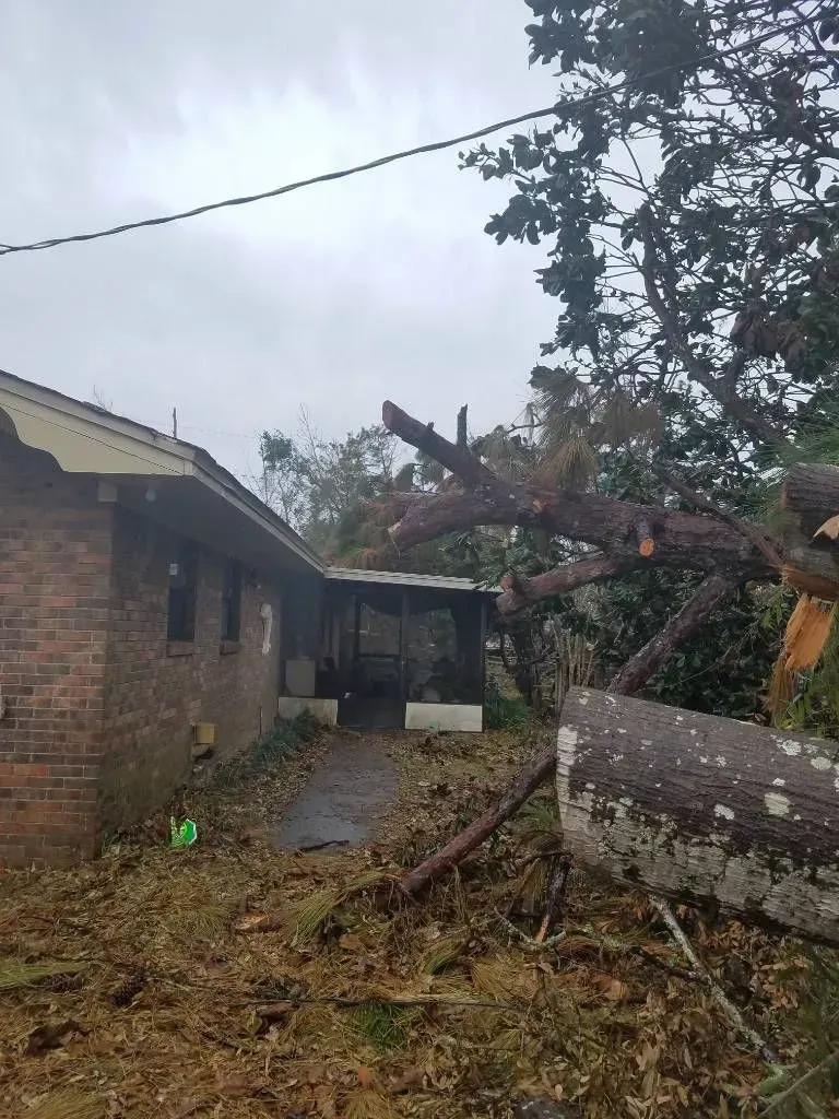 A tree fell on a brick house. Debris and cut branches cover the ground under a cloudy sky.