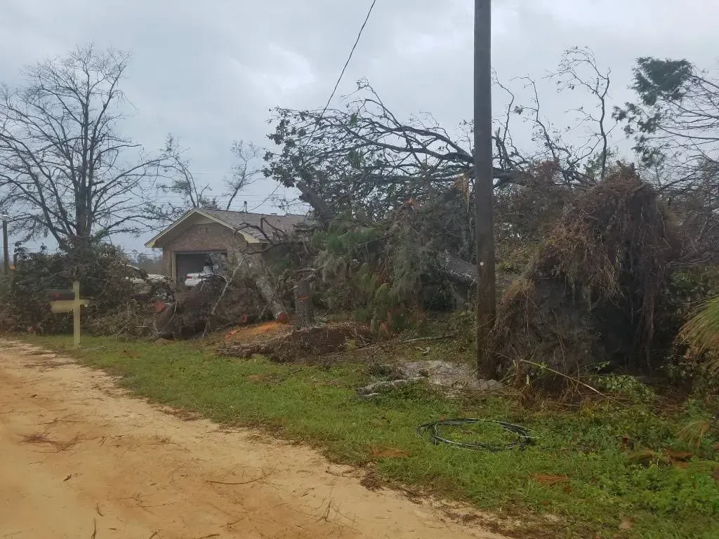 Damage from a storm: trees down, house and power lines damaged, overcast day.
