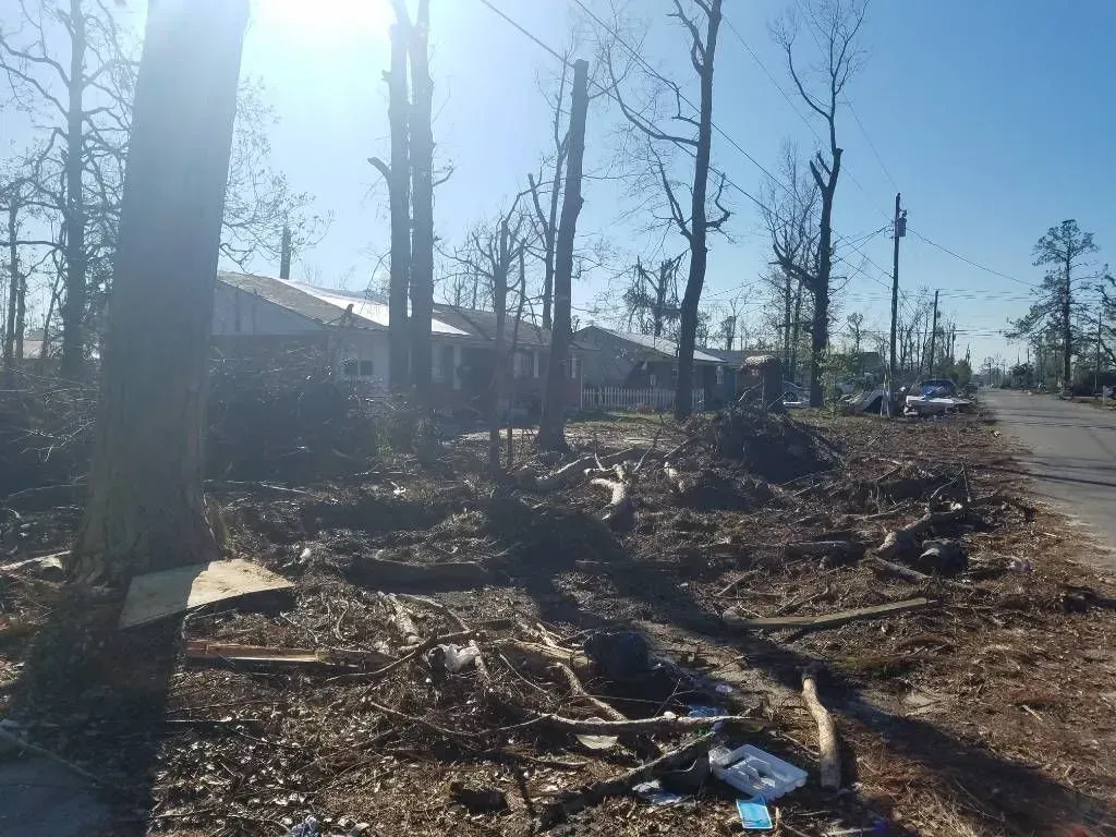 Debris-strewn street after a storm; trees pruned, houses in the background, sunny day.