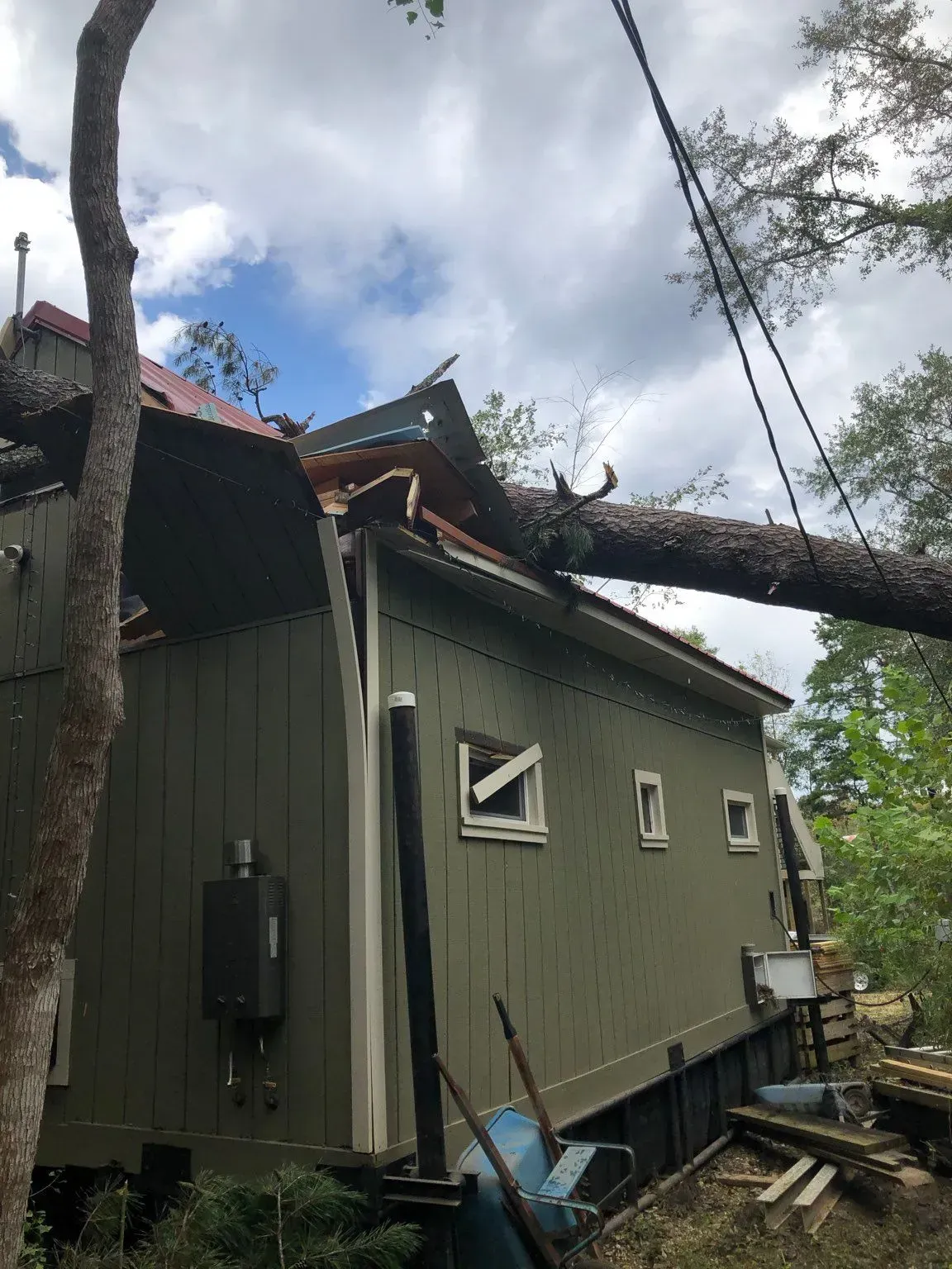 Tree fallen on a green building, causing roof damage. A crane is connected to the tree.