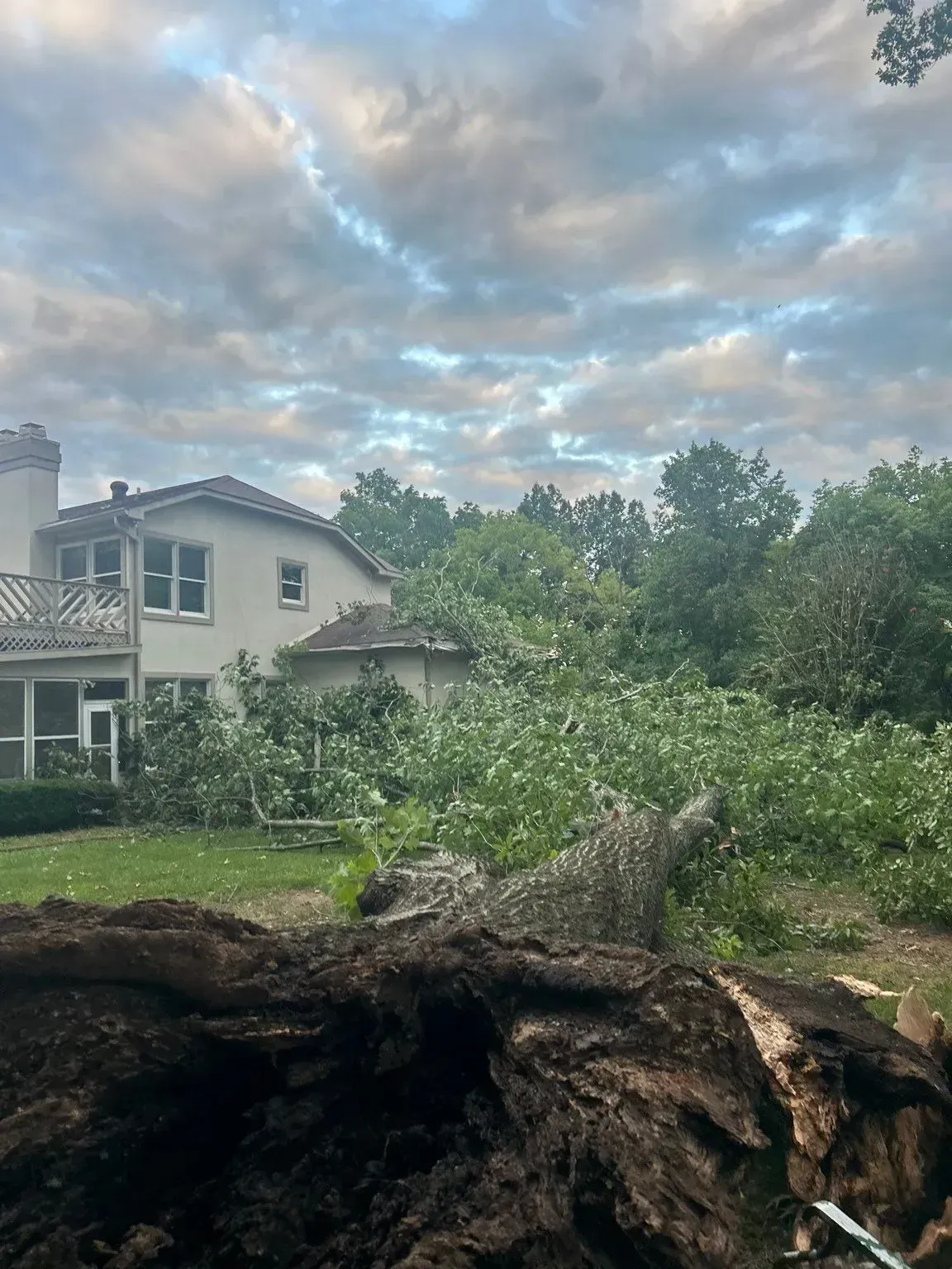 Large tree fallen near a house, debris scattered on lawn, cloudy sky.