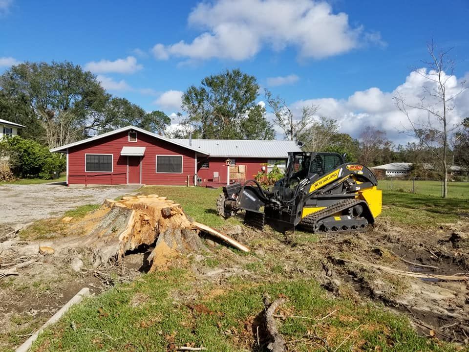 Yellow skid steer grinding a tree stump in front of a red building with a blue sky.