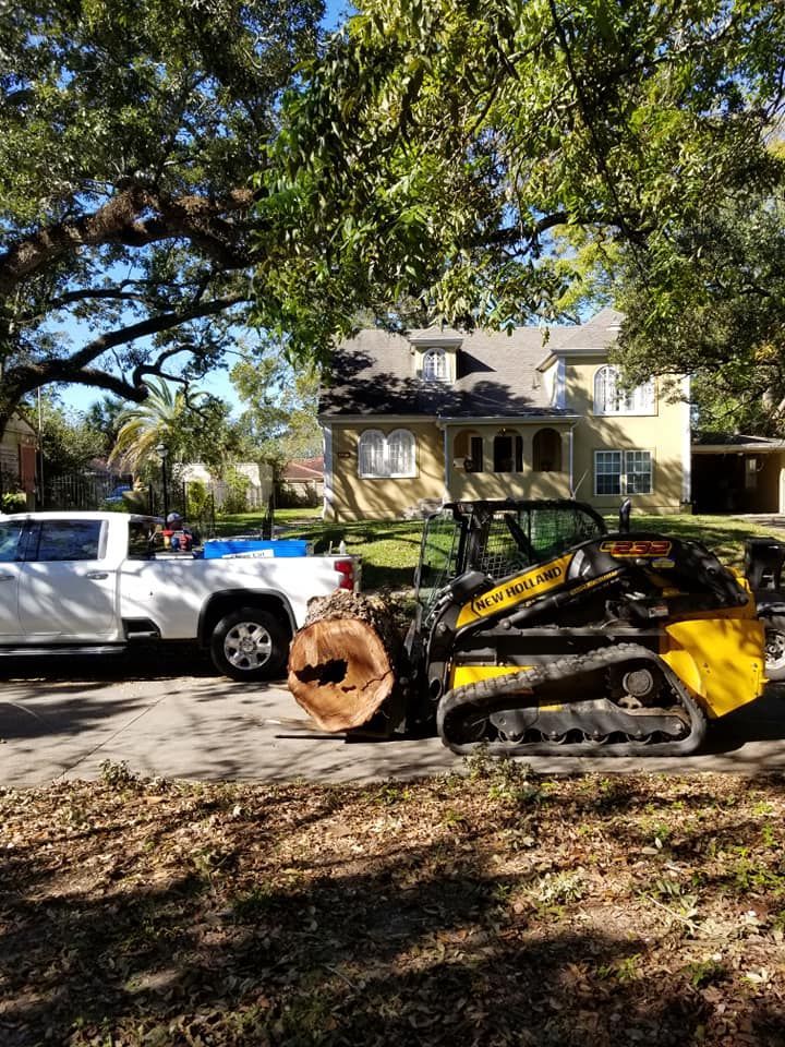 Yellow skid steer and white truck next to a large tree trunk on a street in front of a house.