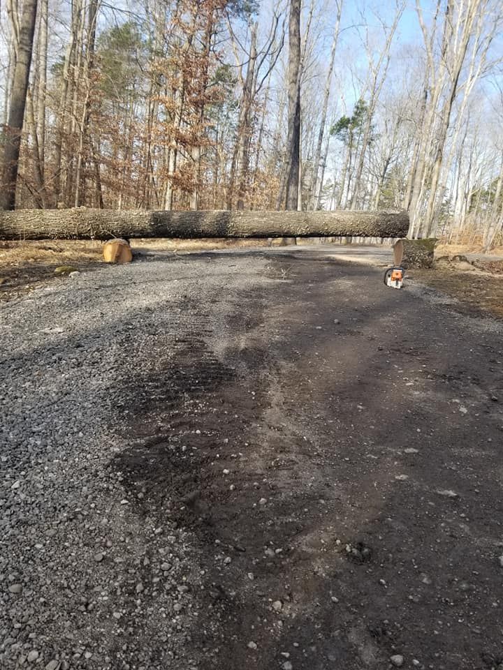 Log across a gravel road, preventing access. Chainsaw on the right. Trees in the background.