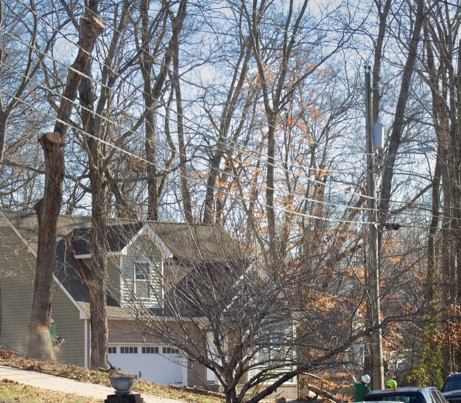 Houses and bare trees under a blue sky, with utility poles and power lines running through the scene.