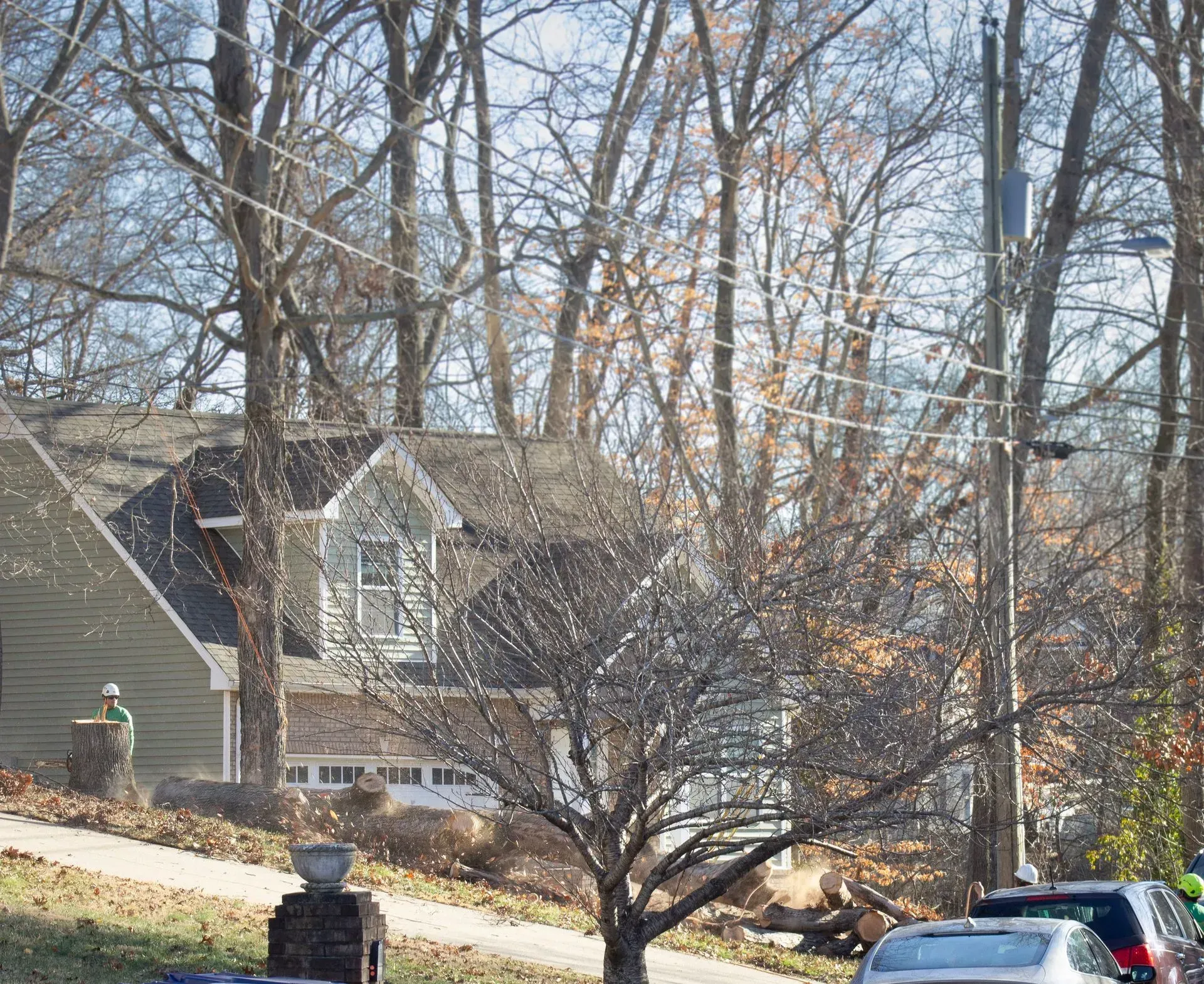 A house with a gray roof and siding is behind bare trees. Power lines, parked cars are visible.