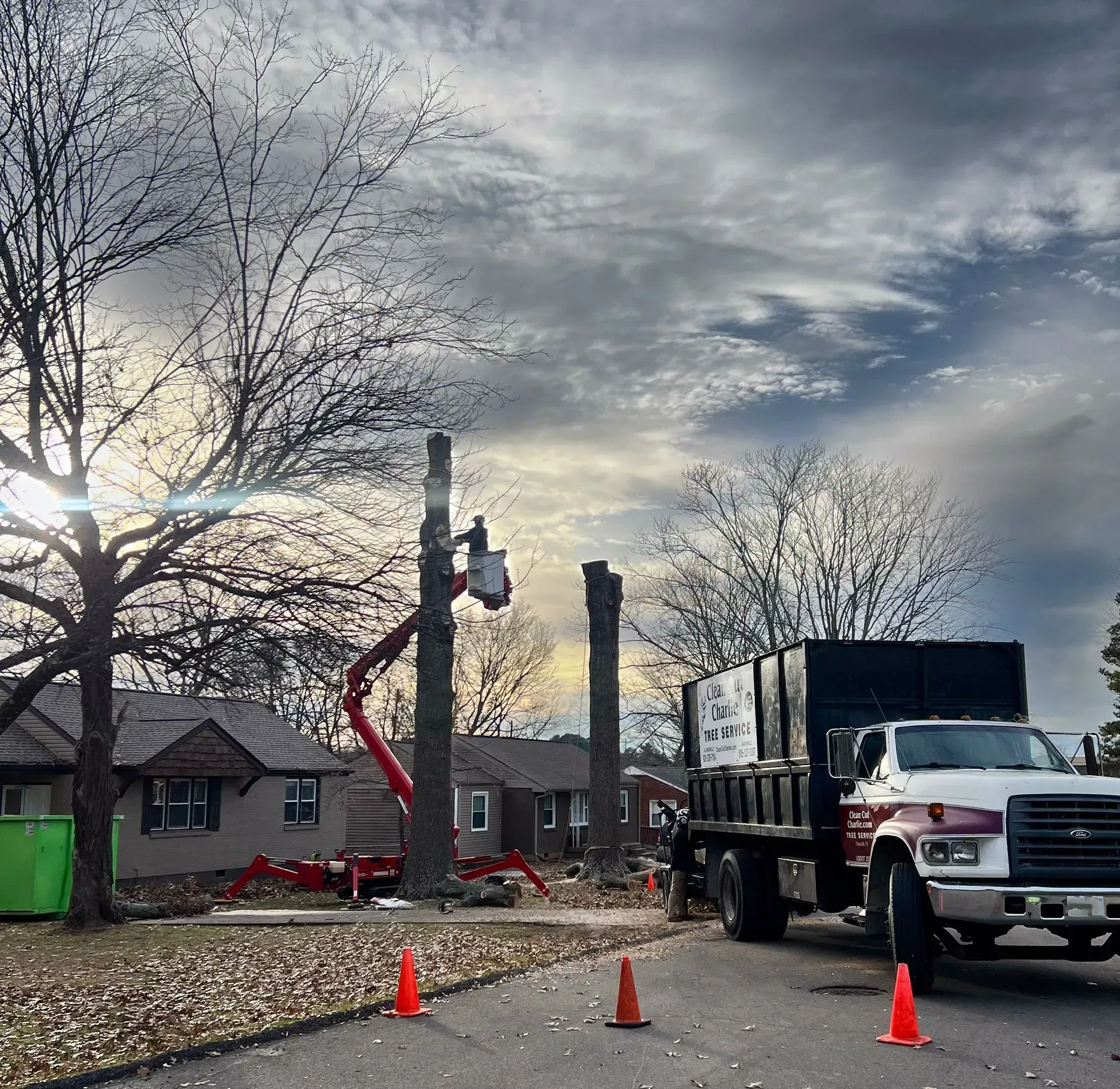 Tree removal in progress: A worker in a lift trims a tall tree; a truck with a dumpster sits nearby.
