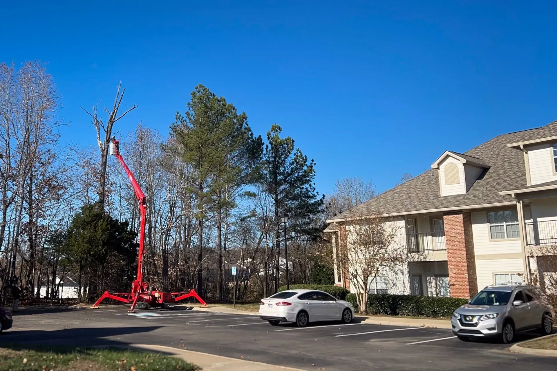 Red tree-trimming machine working on tall tree near an apartment building, cars parked in front.