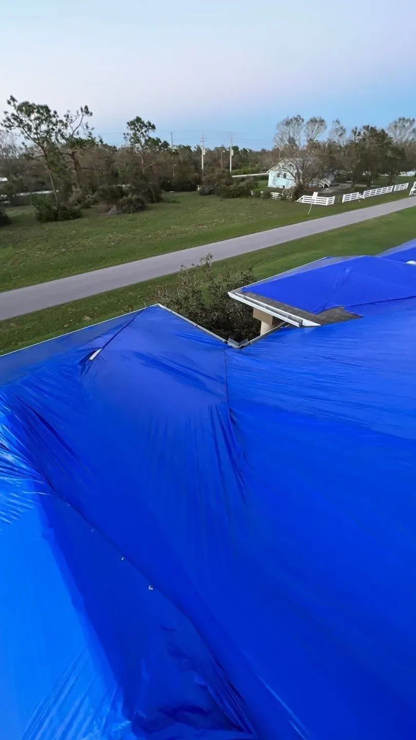 Blue tarp covering a damaged roof. Houses and a road are in the background, trees are bent over, probably from a storm.