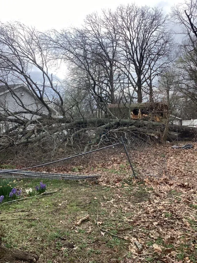 Fallen tree branches and debris blocking a yard near a house. Ground covered in leaves, spring flowers in bloom.