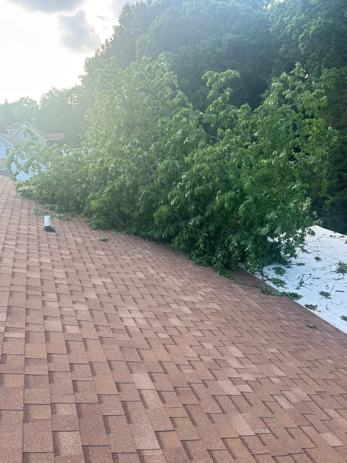 Brown shingled roof with trees against a backdrop of sunlit foliage and a patch of hail.