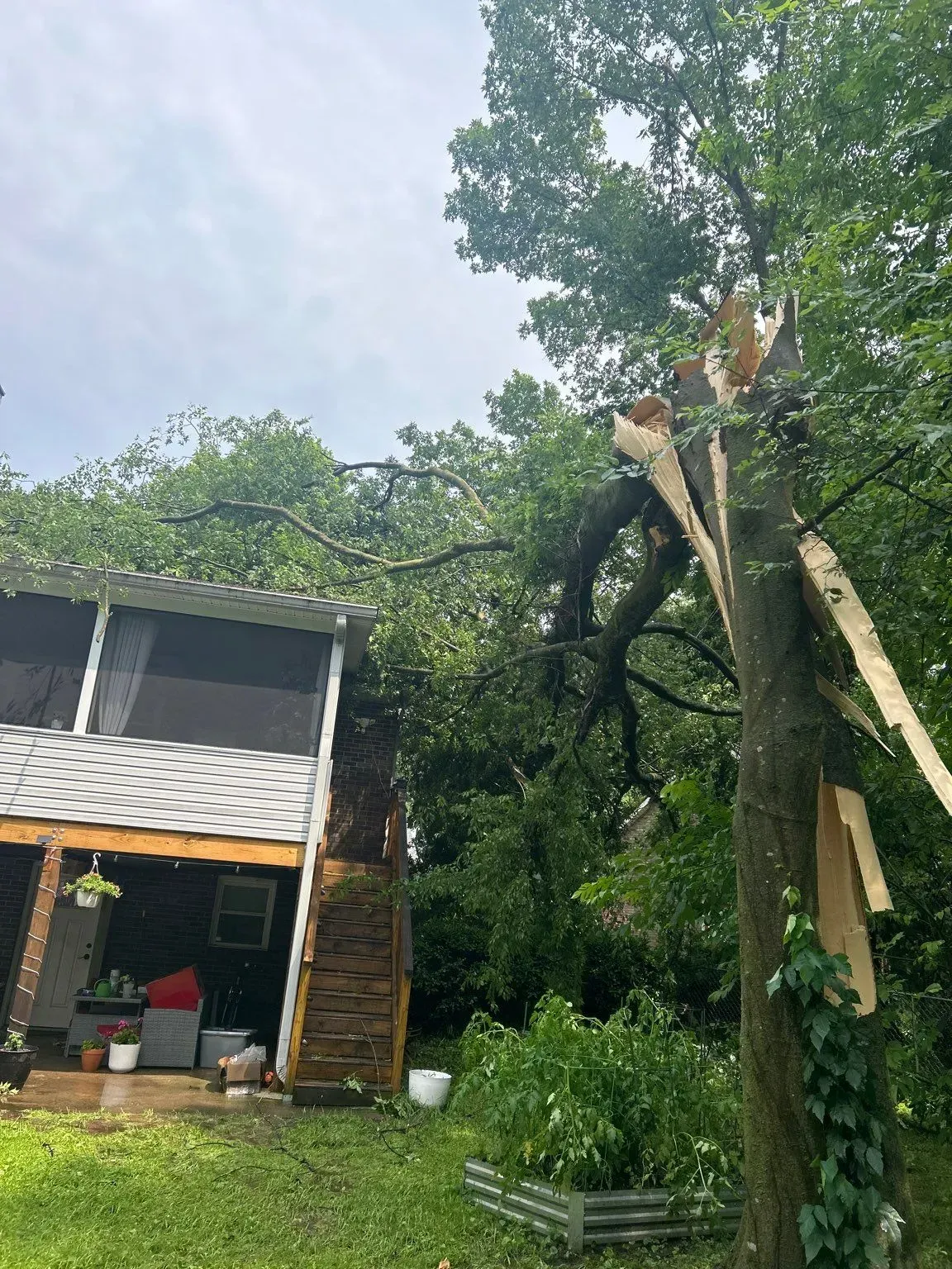 A tree with a broken trunk leans towards a house; cloudy sky.